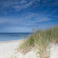 Landschaft auf der Ostsee-Halbinsel Fischland Darß-Zingst | © Anne-Barbara Bernhard