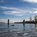 Landschaft auf der Ostsee-Halbinsel Fischland Darß-Zingst | © Anne-Barbara Bernhard