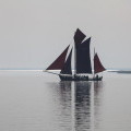 Landschaft auf der Ostsee-Halbinsel Fischland Darß-Zingst | © Anne-Barbara Bernhard