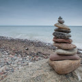 Landschaft auf der Ostsee-Halbinsel Fischland Darß-Zingst | © Anne-Barbara Bernhard